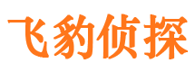 惠民市侦探公司